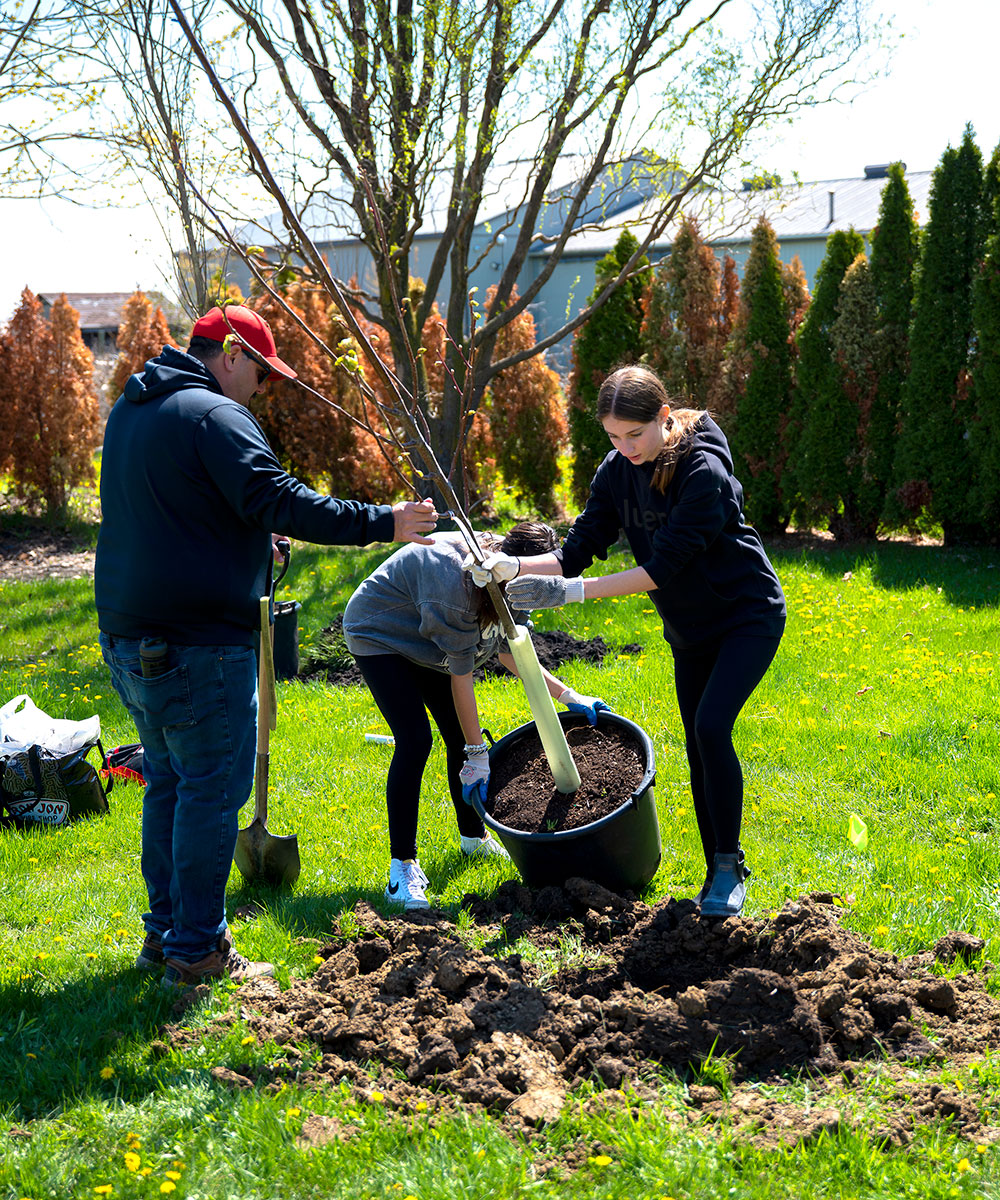 WindsorEssex Community Foundation tree planting