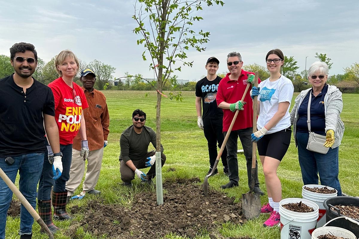 Group of people planting trees